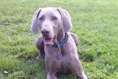 balu1