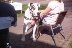 beethoven3