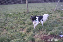 betsy2