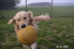 carlosporthos7