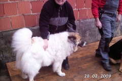 joschi1