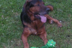 junior1