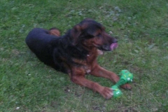 junior2
