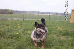 kathie3