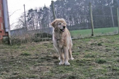 kira1