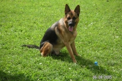 luke4