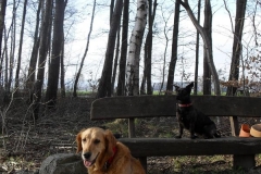 luna_neuxilly1