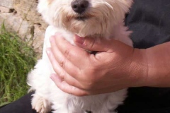 micky