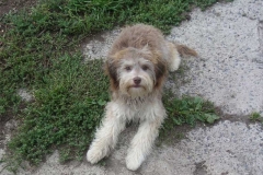 moritz1