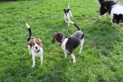 quintochestersunnynora1