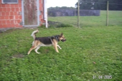 rasti4