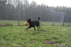 sascha3