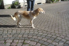 tilly2