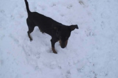 wat_the5