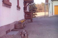 wichtel4