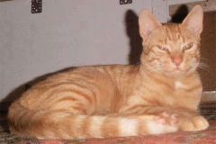 fred2