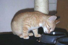 frieda2