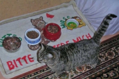 minou1