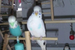 baby3