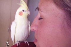 jacko2